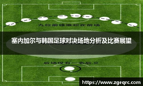 塞内加尔与韩国足球对决场地分析及比赛展望